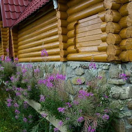 山林小屋 апецька
