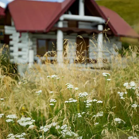 апецька 山林小屋
