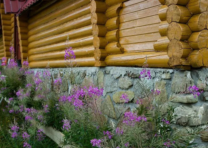 Orman Evi апецька