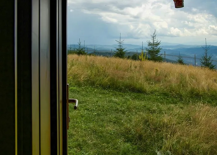 Orman Evi апецька Dubove